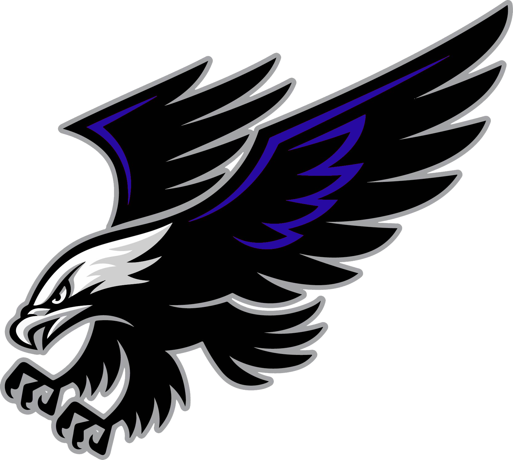 Falcons Building Our Future (Henry School District)